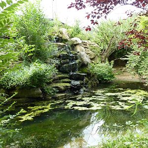 Australia - Walk-Through Aviary