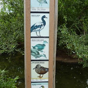 Australia - Walk-Through Aviary Signage