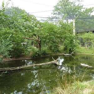 Australia - Walk-Through Aviary