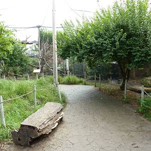 Australia - Walk-Through Aviary