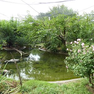 Australia - Walk-Through Aviary