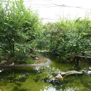 Australia - Walk-Through Aviary