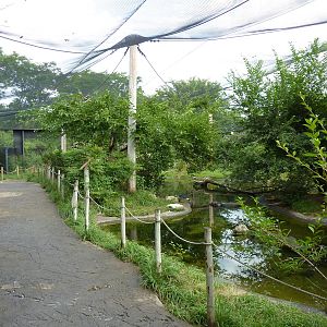 Australia - Walk-Through Aviary