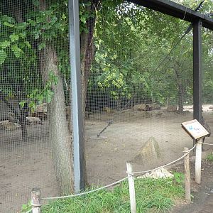 Australia - Emu + Wallaroo Enclosure