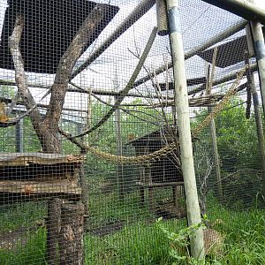 South America - Squirrel Monkey Enclosure