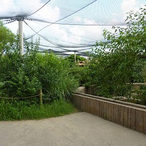 South America - Walk-Through Aviary