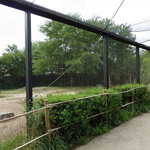 South America - Guanaco Enclosure