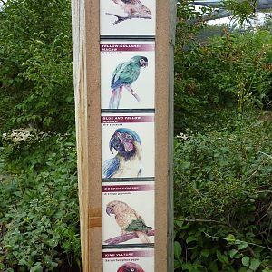 South America - Walk-Through Aviary Signage