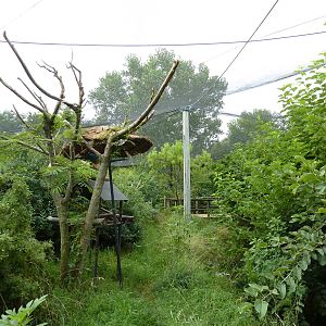 South America - Walk-Through Aviary