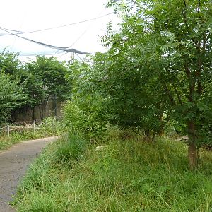 South America - Walk-Through Aviary