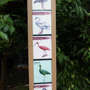 South America - Walk-Through Aviary Signage