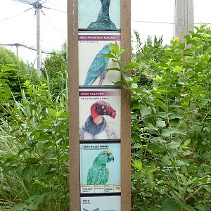 South America - Walk-Through Aviary Signage