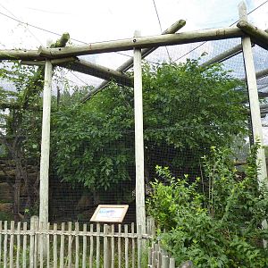 South America - Jaguar Exhibit