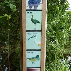 South America - Walk-Through Aviary Signage