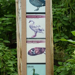 South America - Walk-Through Aviary Signage