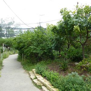 South America - Walk-Through Aviary