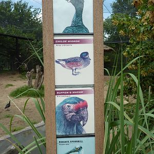 South America - Walk-Through Aviary Signage