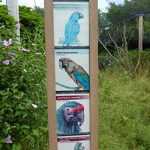 South America - Walk-Through Aviary Signage