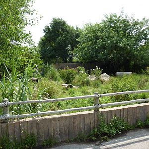 South America - Giant Anteater Enclosure