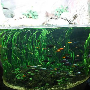 Aquarium