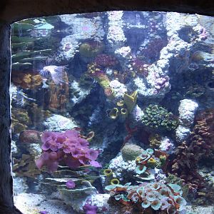 Aquarium