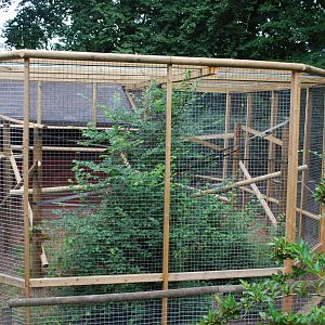 PRIMATE HOUSE / QUARATINE AREA