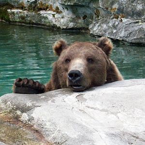 Chilling Out on a Warm Day