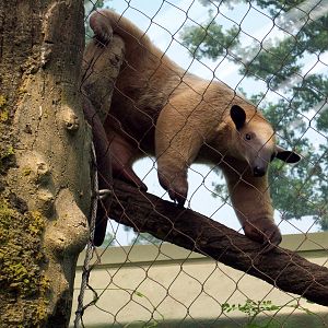 Catch Me If You Can!