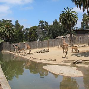 African Veldt Exhibit