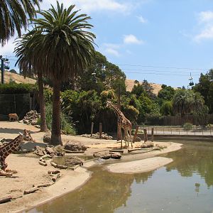 African Veldt Exhibit