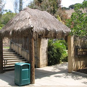 African Lion Exhibit - Entry Hut