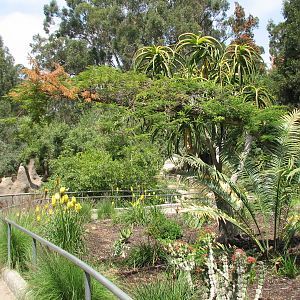 African Village - Entry Path
