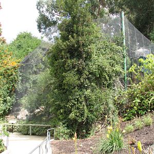 African Village - Small African Aviary