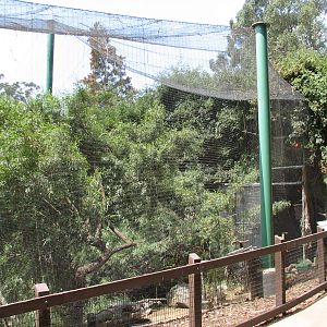 African Village - Small African Aviary