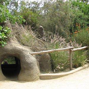 African Village - Slender-tailed Meerkat Exhibit - Crawl Tunnel Entrance
