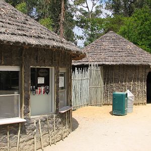 African Village - African Savanna Cafe