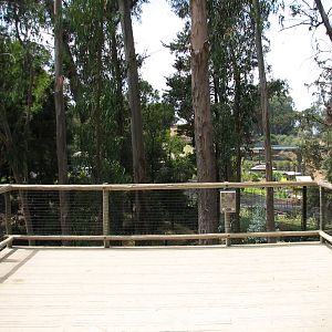 African Village - Spotted Hyena Exhibit Viewing Area
