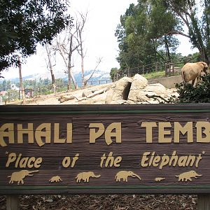 African Elephant Exhibit - Sign