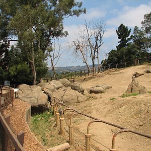 African Elephant Exhibit