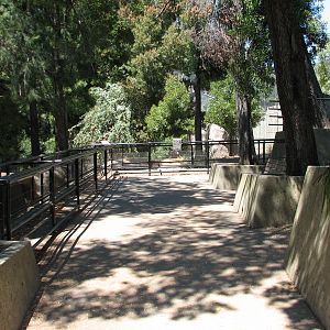 Warthog Exhibit - Viewing Area