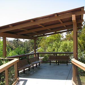 Hamadryas Baboon Exhibit - Viewing Shelter