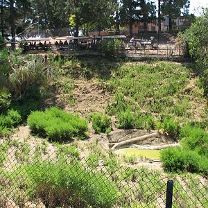 Sika Deer and Reeves and Indian Muntjacs Exhibit