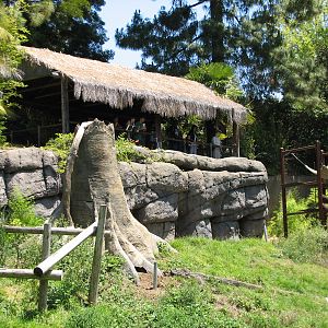 Malayan Sun Bear Exhibit - Viewing Shelter