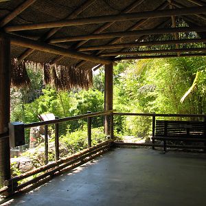 Malayan Sun Bear Exhibit - Viewing Shelter Interior