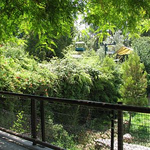 Tiger Exhibit - Viewing Area