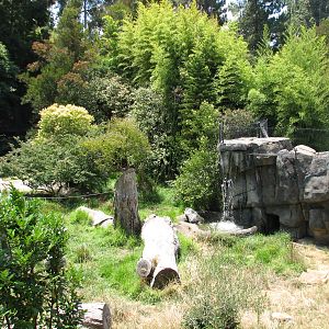 Tiger Exhibit
