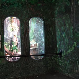 Yellow Anaconda Exhibit