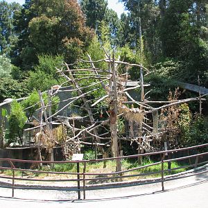 Blue-and-Gold Macaw Exhibit