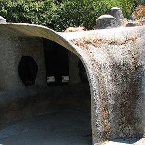 Taiwan Beauty Snake and Nosy Be Panther Chameleon Exhibits