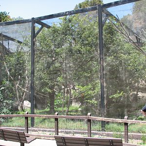 Squirrel Monkey Exhibit